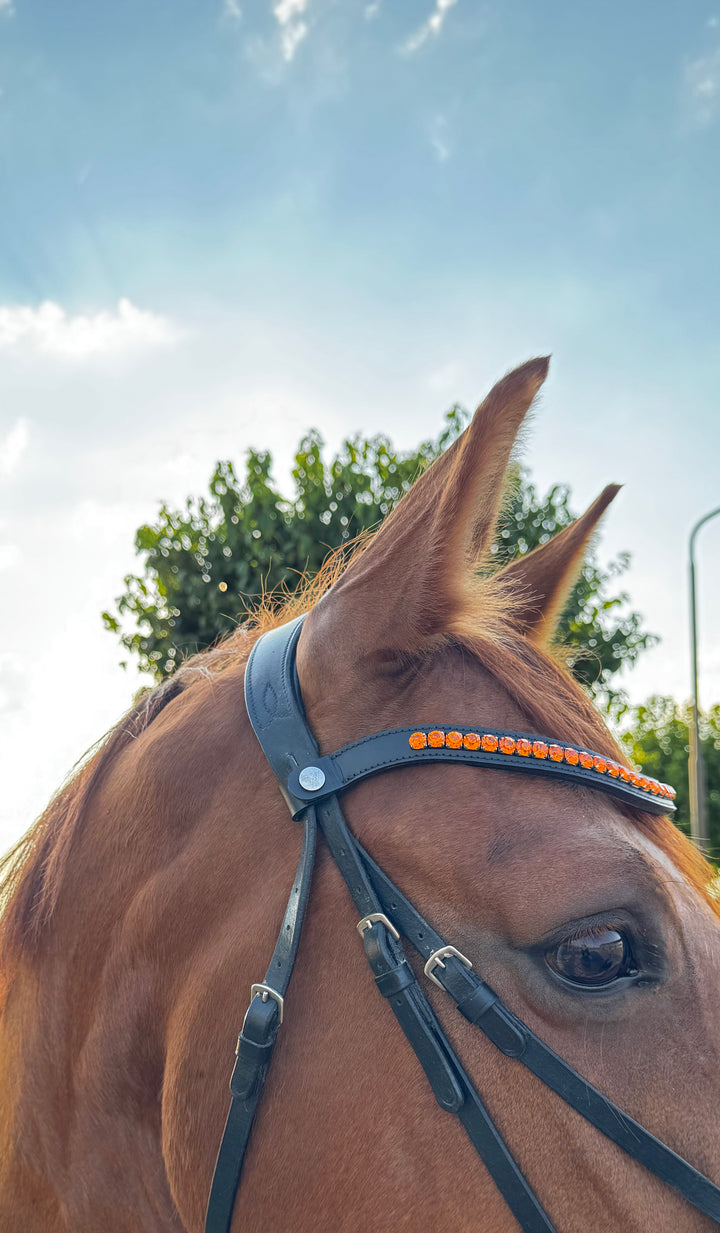 Frontriem Oranje