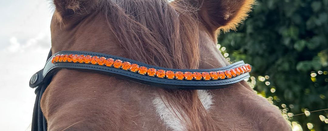 Frontriem Oranje