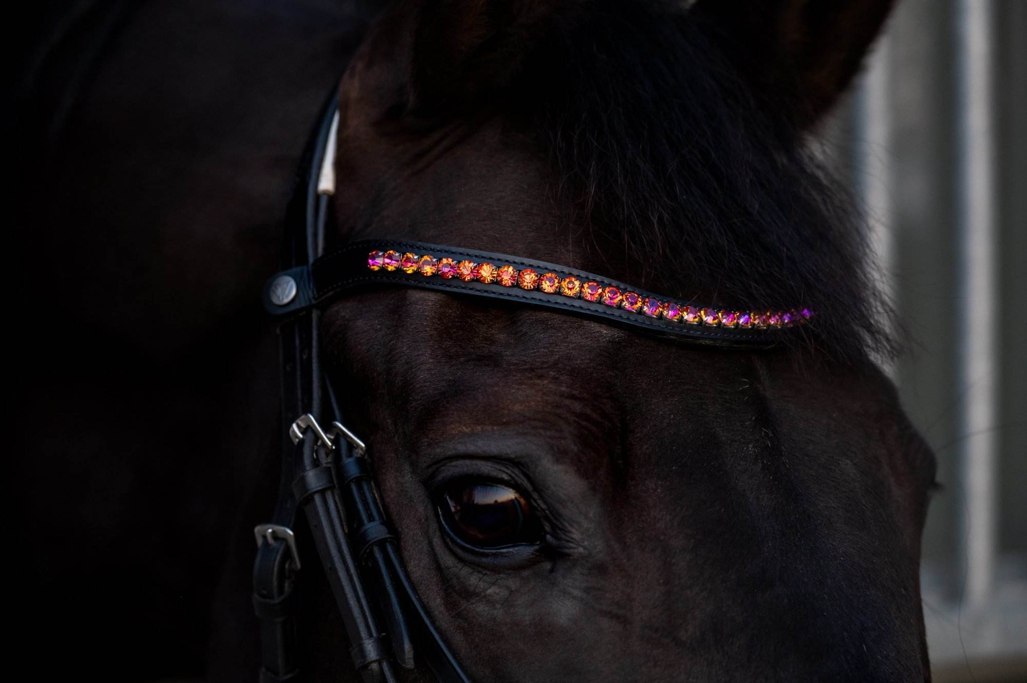 Frontriem Marjolein Rosé goud - Vísolde