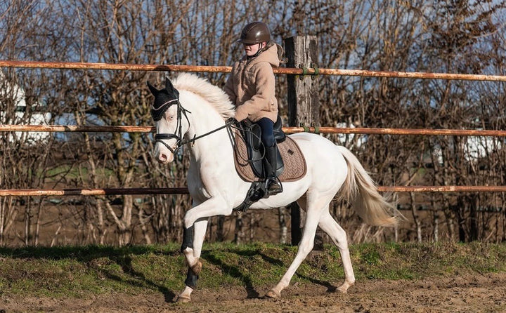 Paardrijhelm Bruin - Vísolde