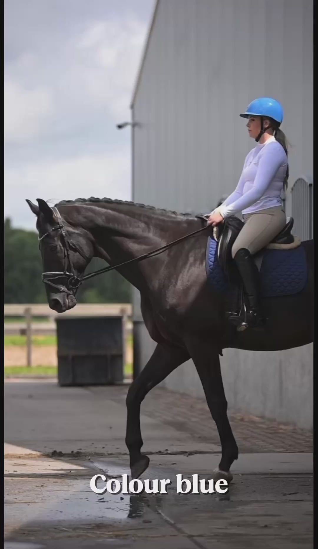 Schaal paardrijhelm Blauw Elegance