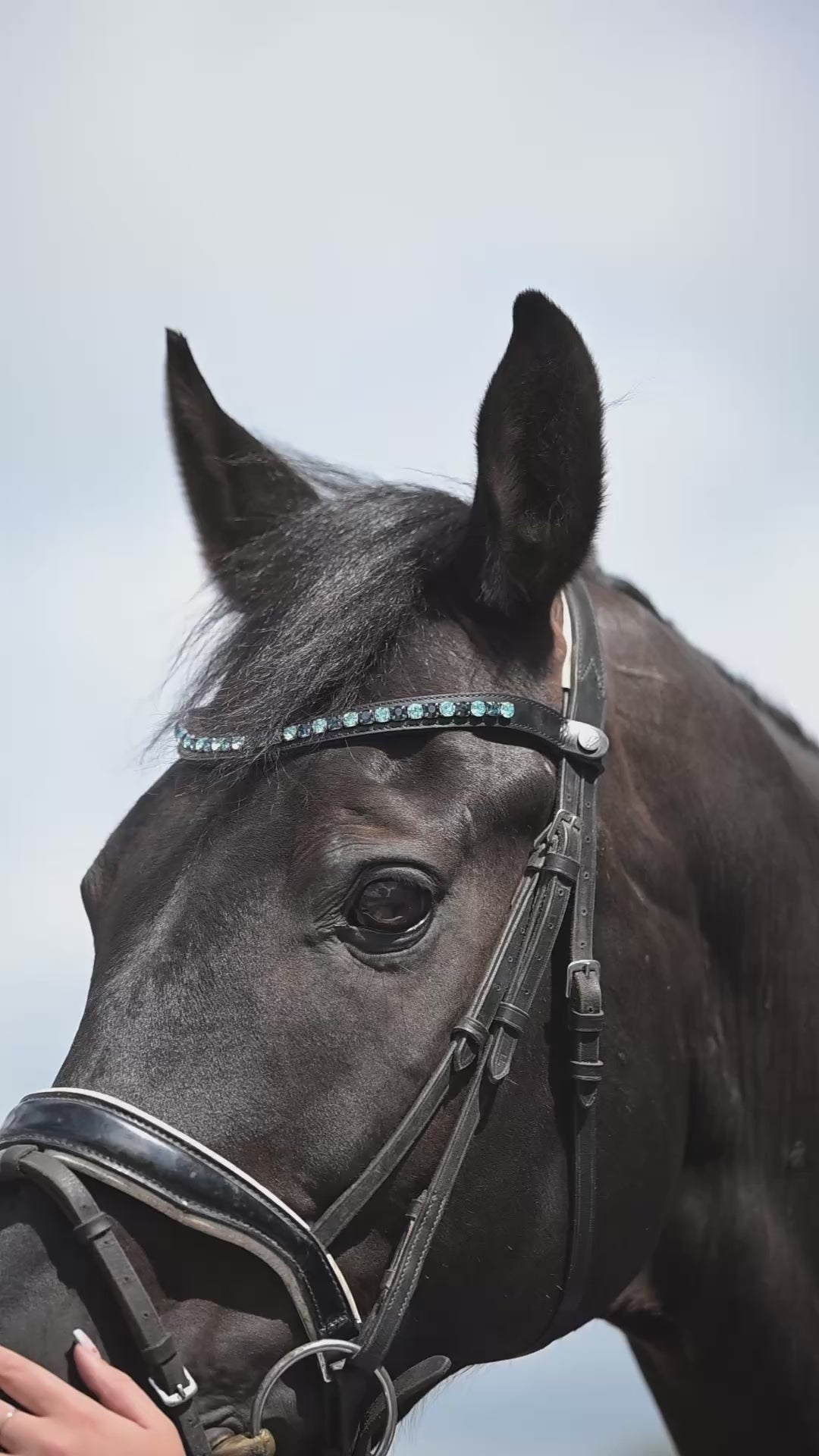 Frontriem Nadien Blauw