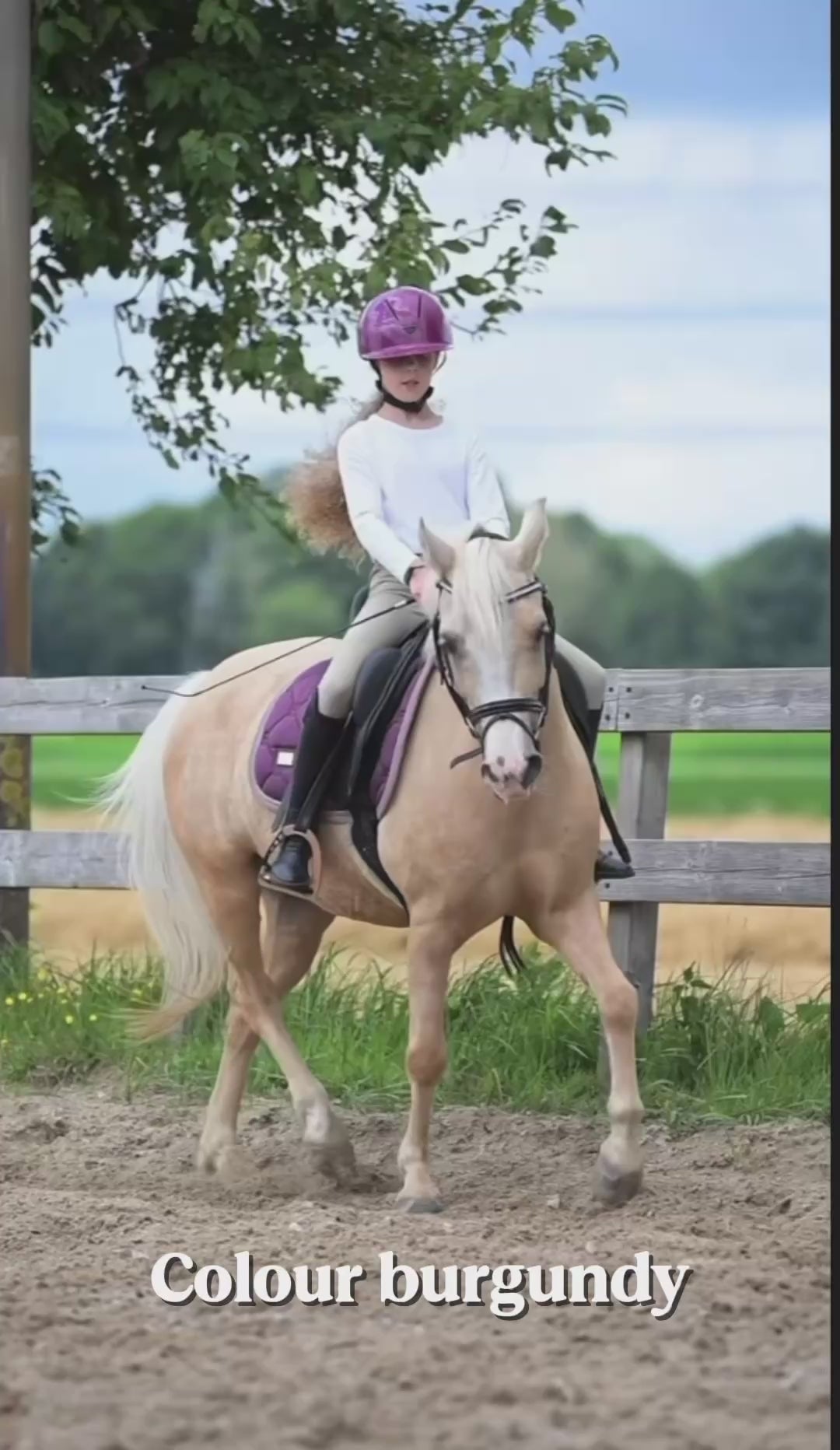 Schaal paardrijhelm Bordeauxrood Elegance