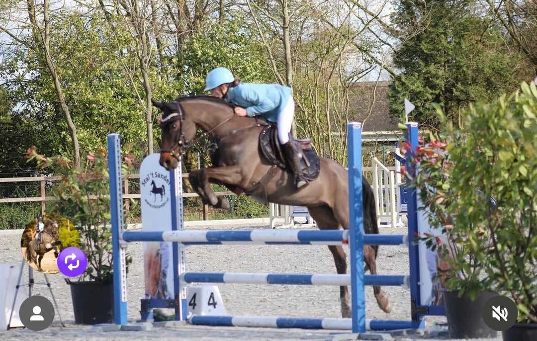 Schaal paardrijhelm Turquoise Royal - Vísolde